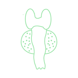 Ендокринология