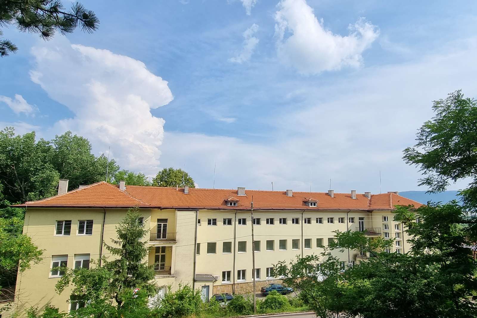 Д-р Севда Димитрова